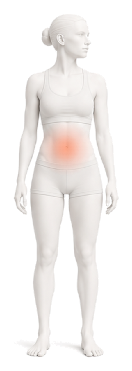 Body illustration with the midline of the abdomen highlighted.